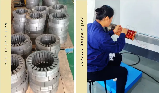 Cutomized General Industry Use BLDC Motor 1.5kw 3000rpm 24V