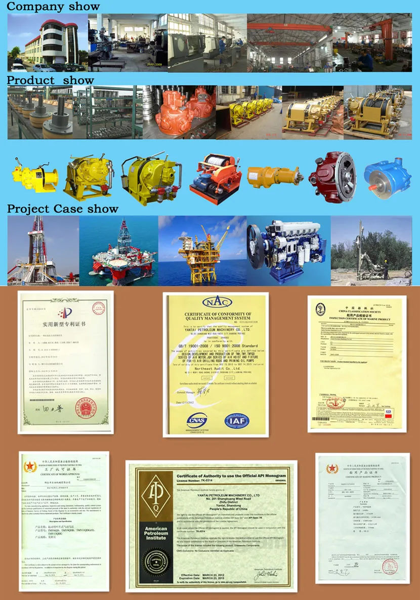 Da Li Brand Vane Air Motor Tmy13qdg Turbine Air Motor Air Starter