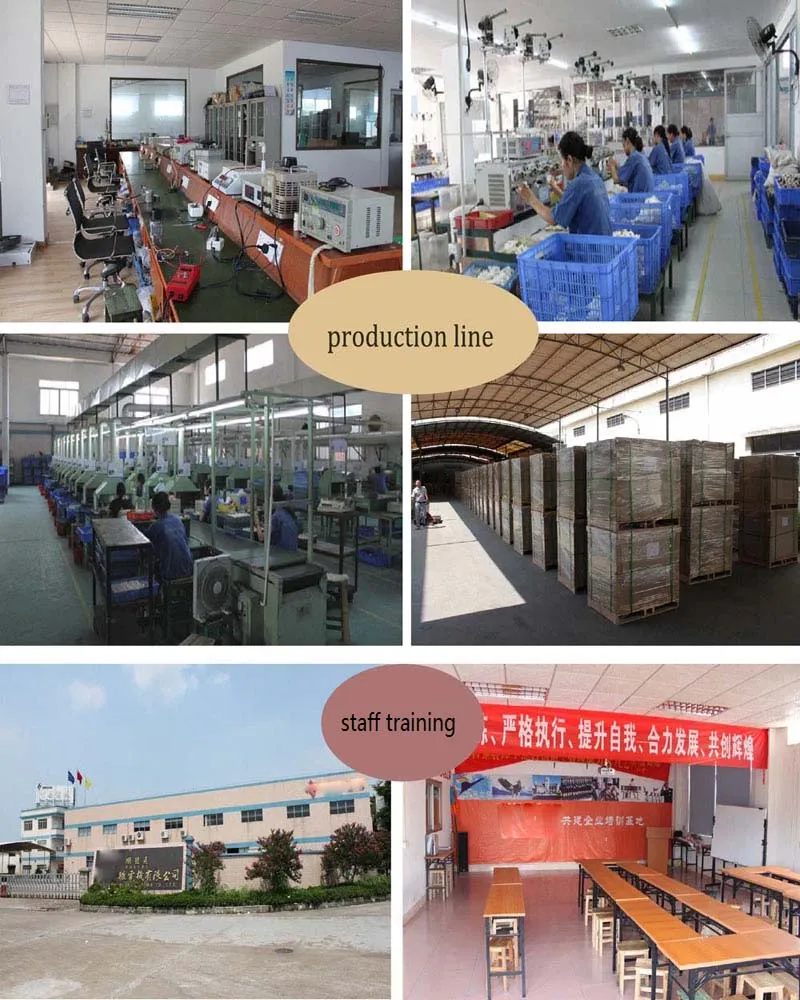 DC Brushed Electric Small Permanent Magnet Motor for Mini Vacuum Pump Motor