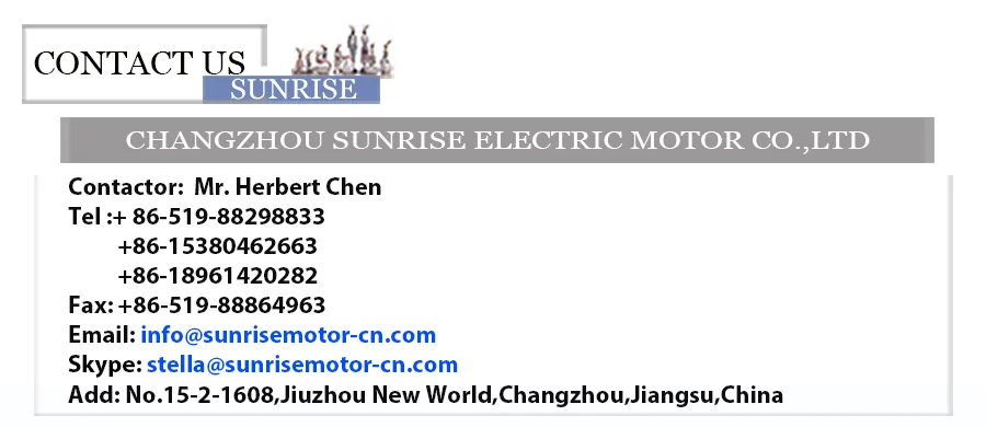 DC Motor Brushed Motor Electric Motor PMDC Motor 114zyt145-1232 12VDC 1.1n. M 2800rpm