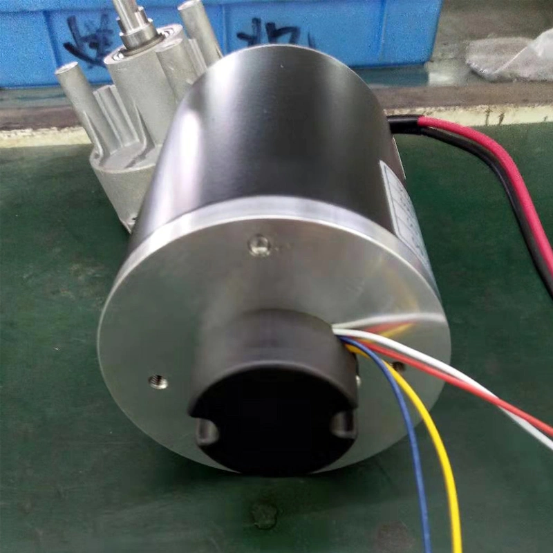 DC Power Metal Electric Gear Motor 12V 24V 40V with Worm Reducer
