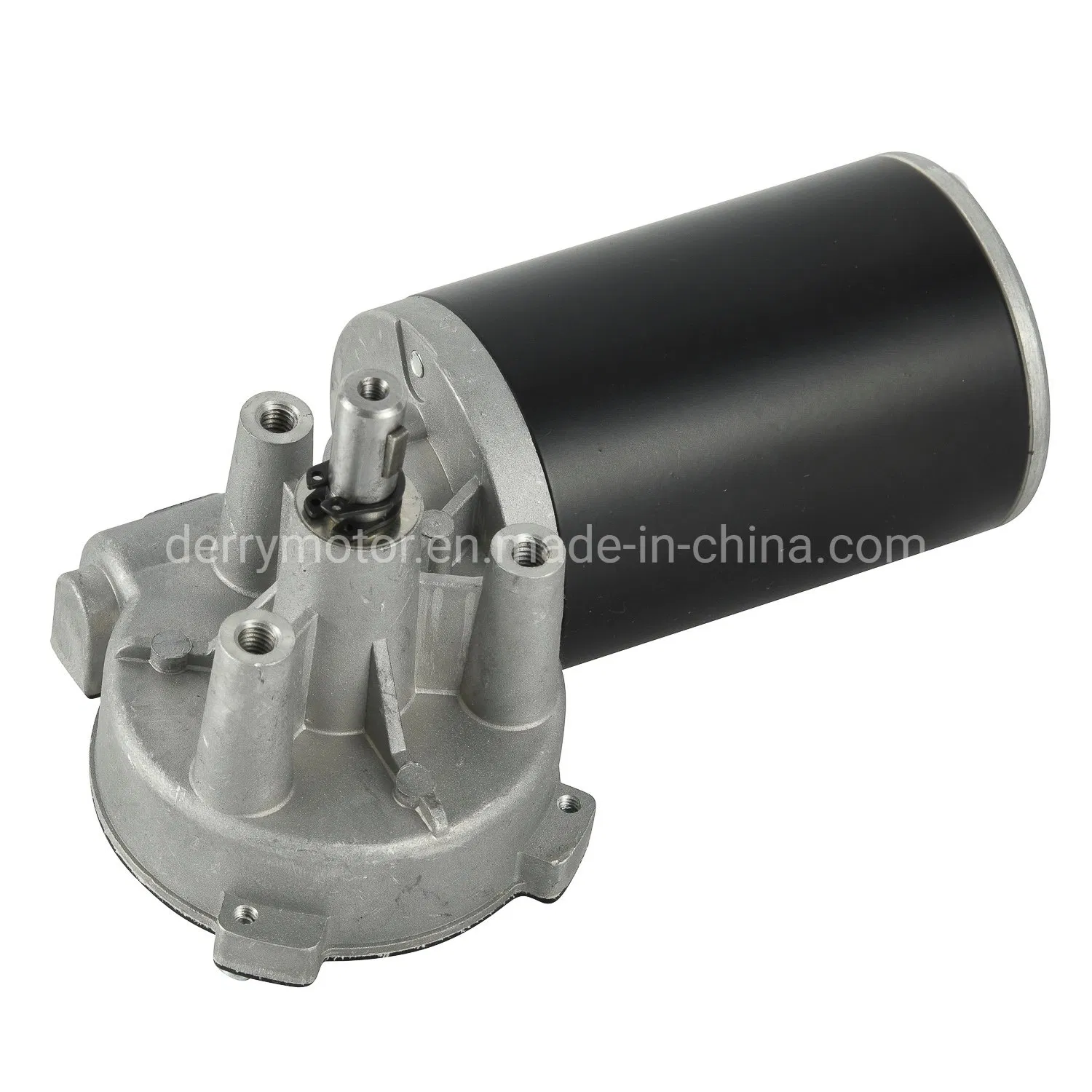 DC Worm Gear Motor for Lives a Broad Saloon Car