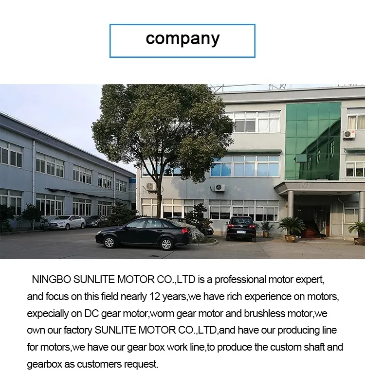 DC12V 80W 60rpm Reversible Worm Gear Motor Reversible Electric Gear Motor High Torque Speed Reducing Electric Gearbox Motor