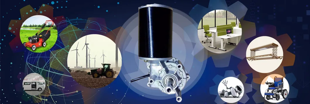 Diameter 63mm Worm Gear Motor DC 12V 24V for Wheel Chair