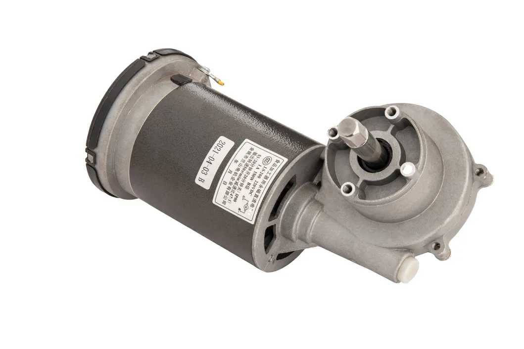 E00 DC Gear Motor Oil Press Brushed Electric Motors