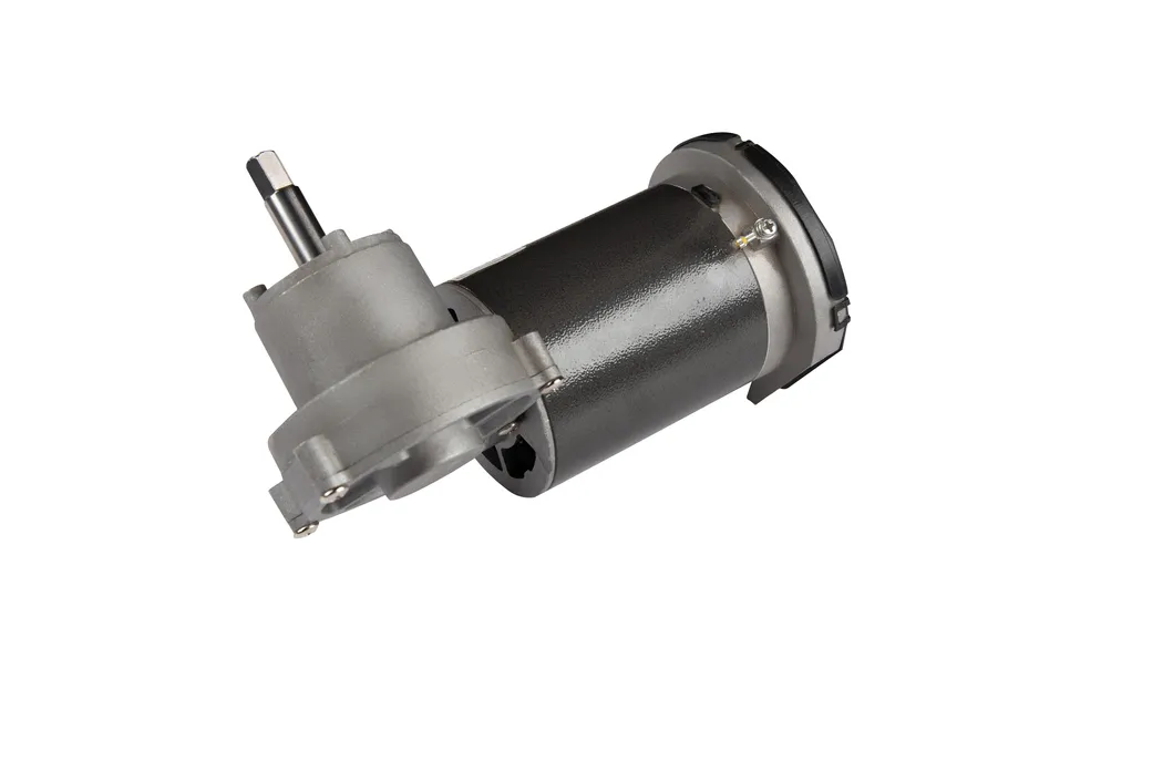 E00 DC Gear Motor Oil Press Brushed Electric Motors