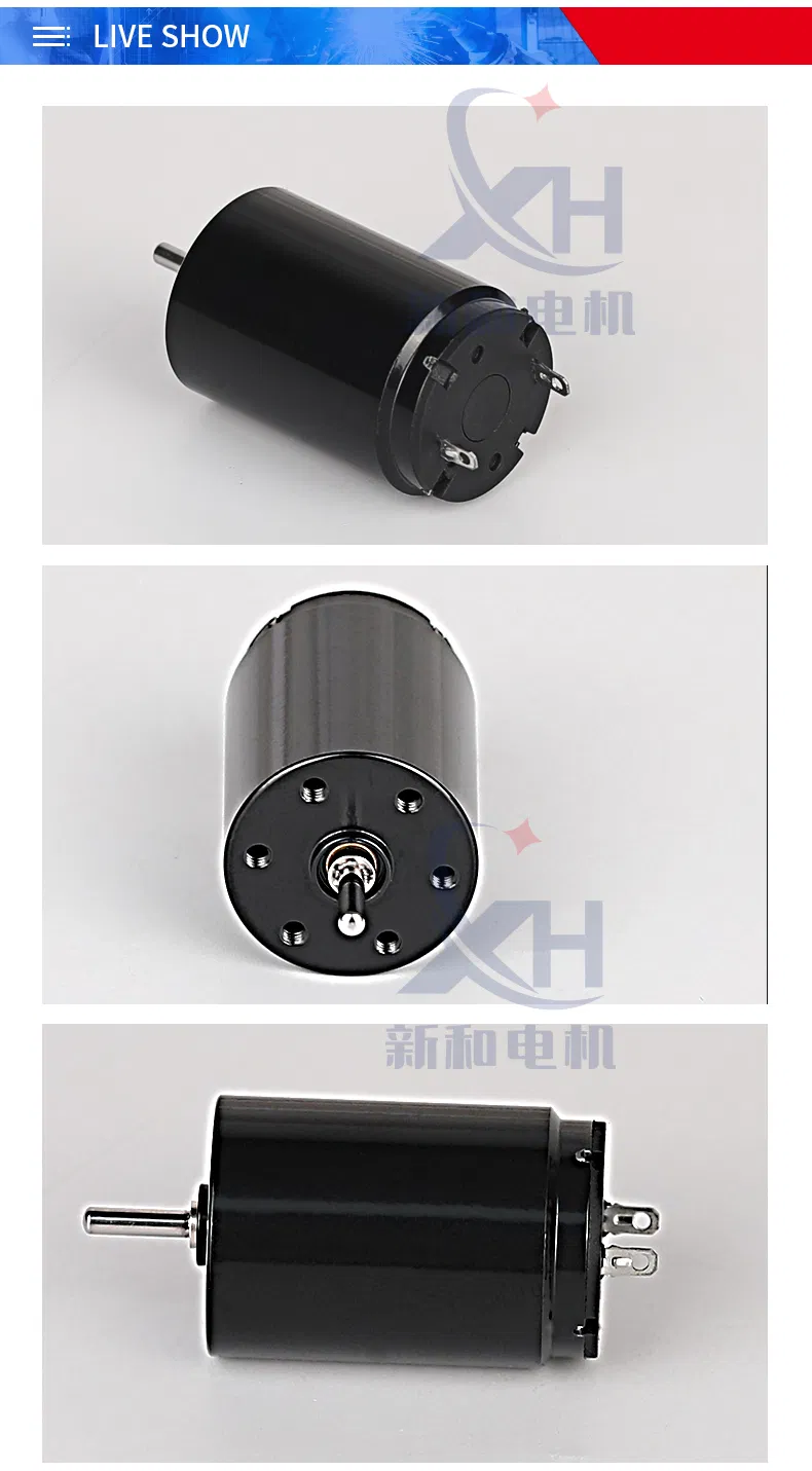 Good Quality Permanent Magnet High Power Electric Tattoo Motors Micro Mini 19*28mm 12V Coreless/Hollow Cup Motor DC Motor with Brushed/Brush/Brushes