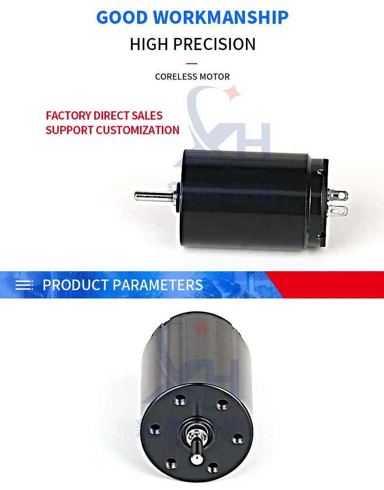 Good Quality Permanent Magnet High Power Electric Tattoo Motors Micro Mini 19*28mm 12V Coreless/Hollow Cup Motor DC Motor with Brushed/Brush/Brushes