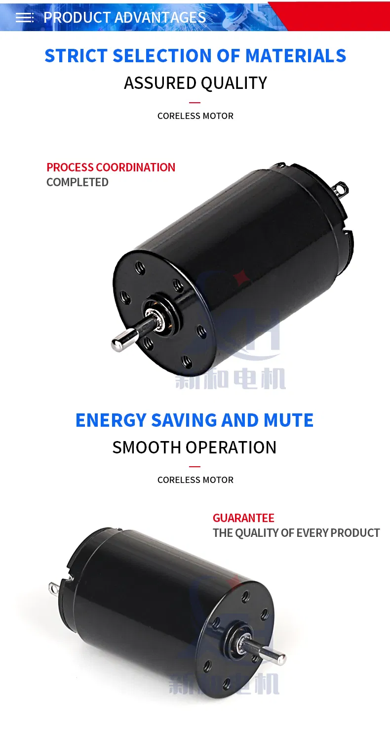 Good Quality Permanent Magnet High Power Electric Tattoo Motors Micro Mini 19*28mm 12V Coreless/Hollow Cup Motor DC Motor with Brushed/Brush/Brushes