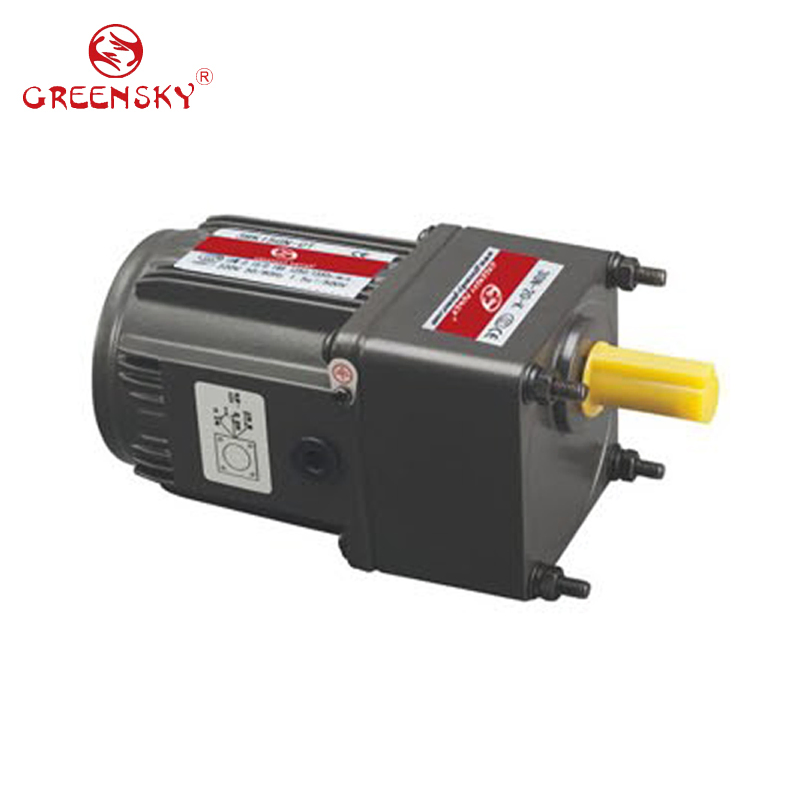 GS AC Reversible 6W 60mm Gear Motor 110V 220V Low Speed