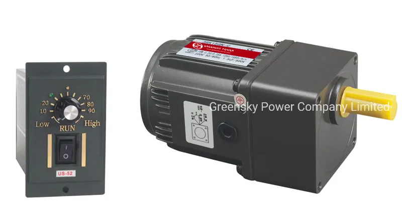 GS AC Reversible 6W 60mm Gear Motor 110V 220V Low Speed