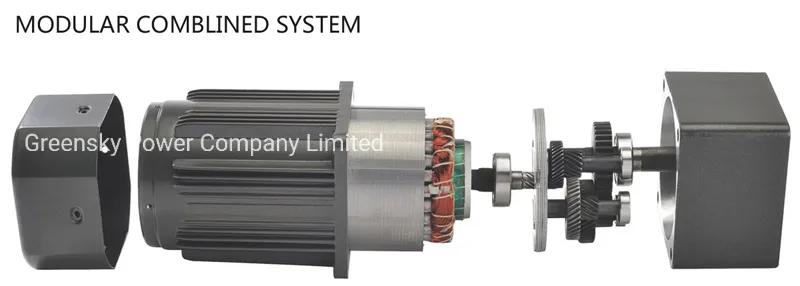 GS AC Reversible 6W 60mm Gear Motor 110V 220V Low Speed