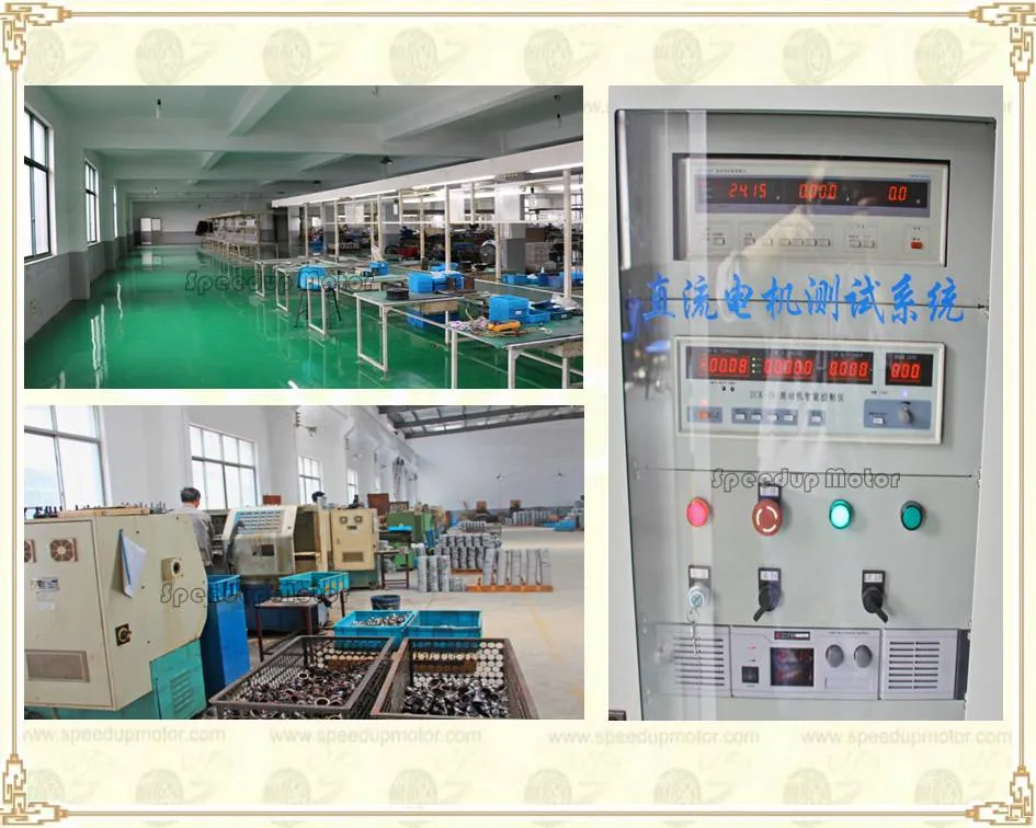 High Torque 30nm Electrical PMDC Geared Motor for Moblility Scooter/Vehicle