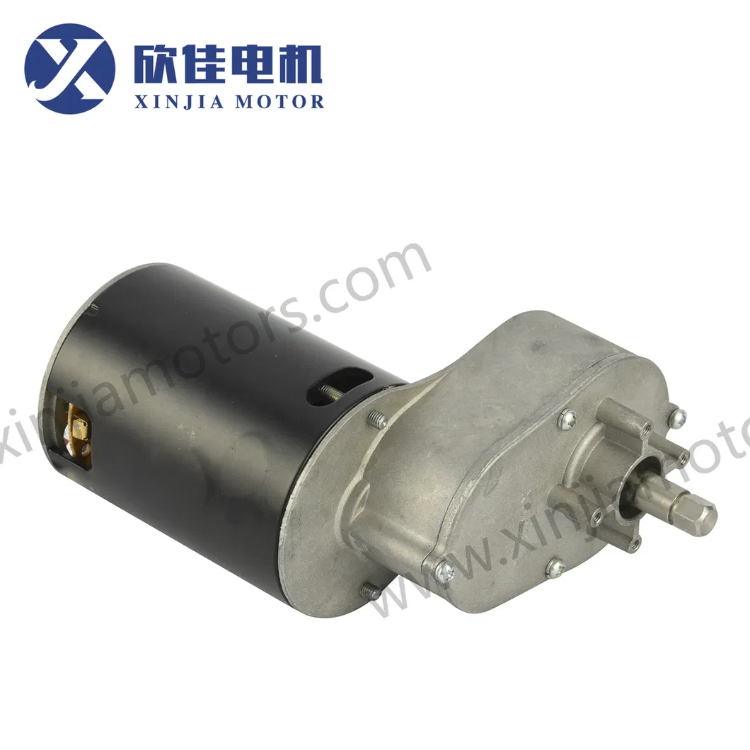 High Torque Efficiency DC Gear Motor for Juicer Extractor