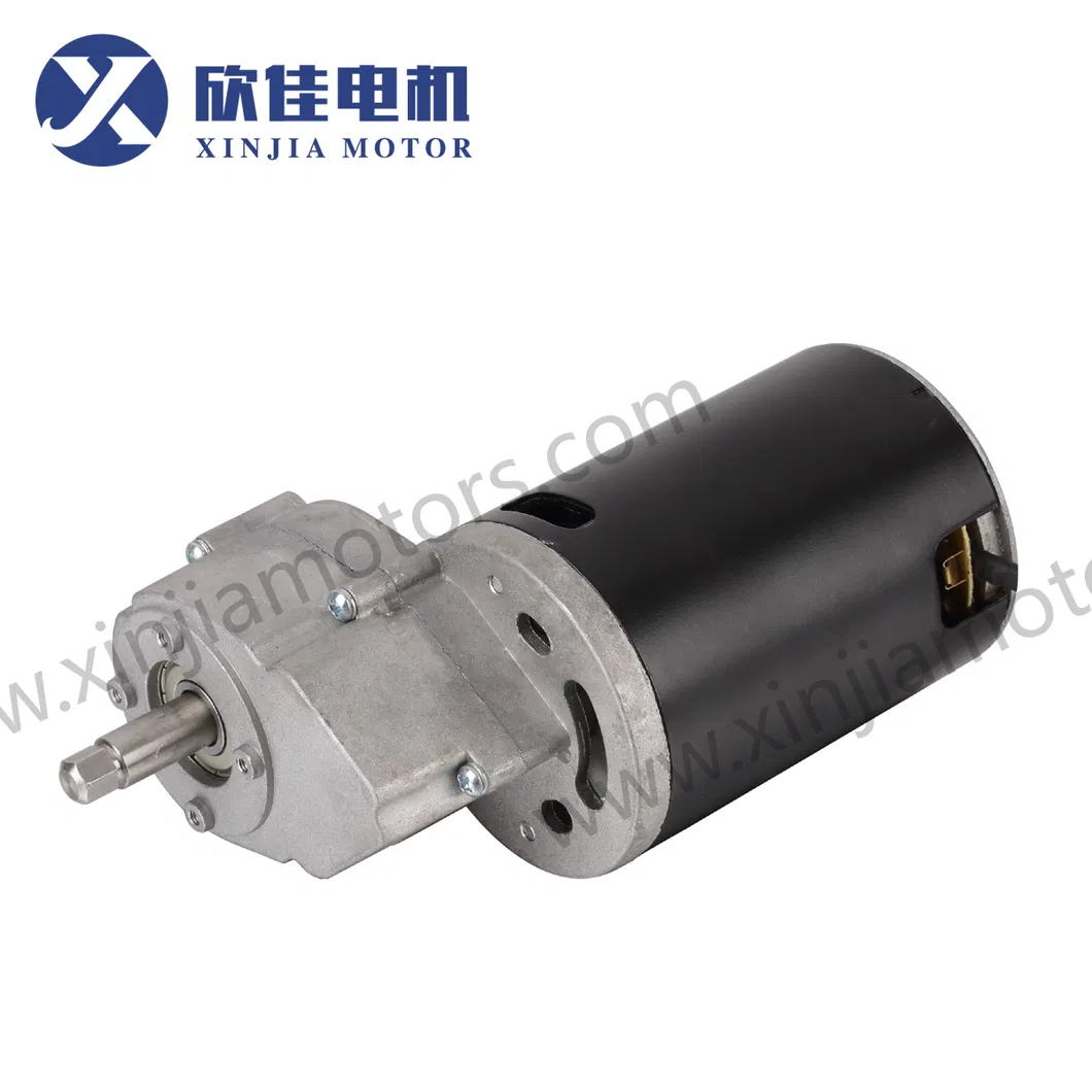 High Torque Efficiency DC Gear Motor for Juicer Extractor