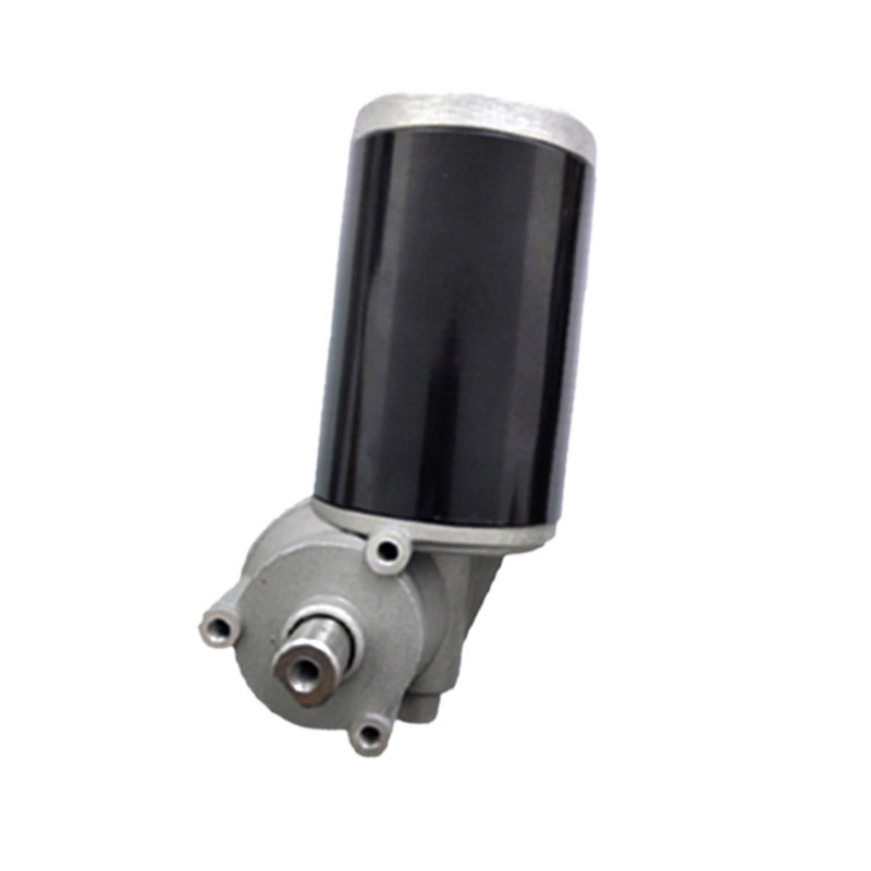 Hot Sale Small Worm Geared DC Motor 12V 24V with Gear Ratio 28: 1