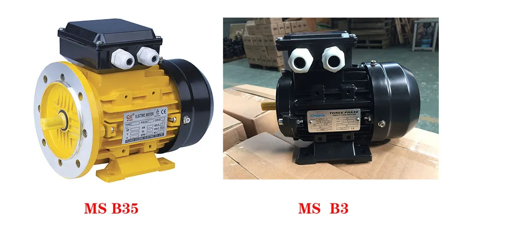 Hot Selling Good Quality Ms 3 Phase 0.25kw 0.37kw 0.55kw 0.75kw Squirrel Cage Induction Motor