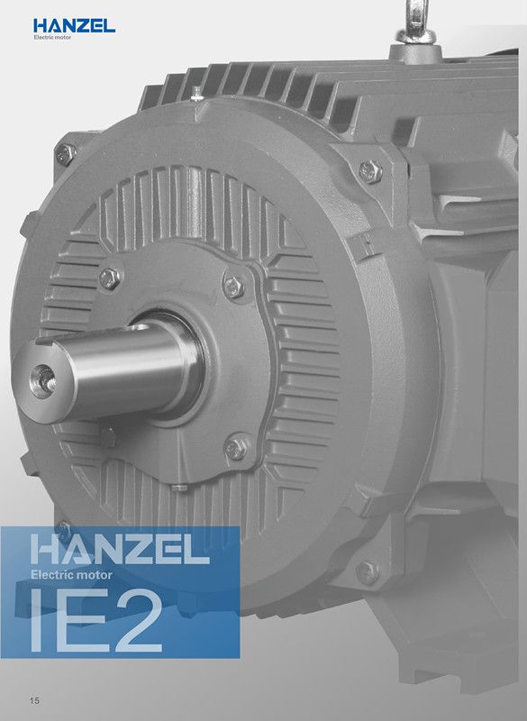 Ie2 55kw 960rpm 3 Phase AC Squirrel Cage Induction Electric Motor for Water Pump, Air Compressor