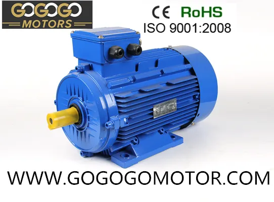 Ie2 Ms Alu Housing Three-Phase Induction Electrical Motor (MS Series)