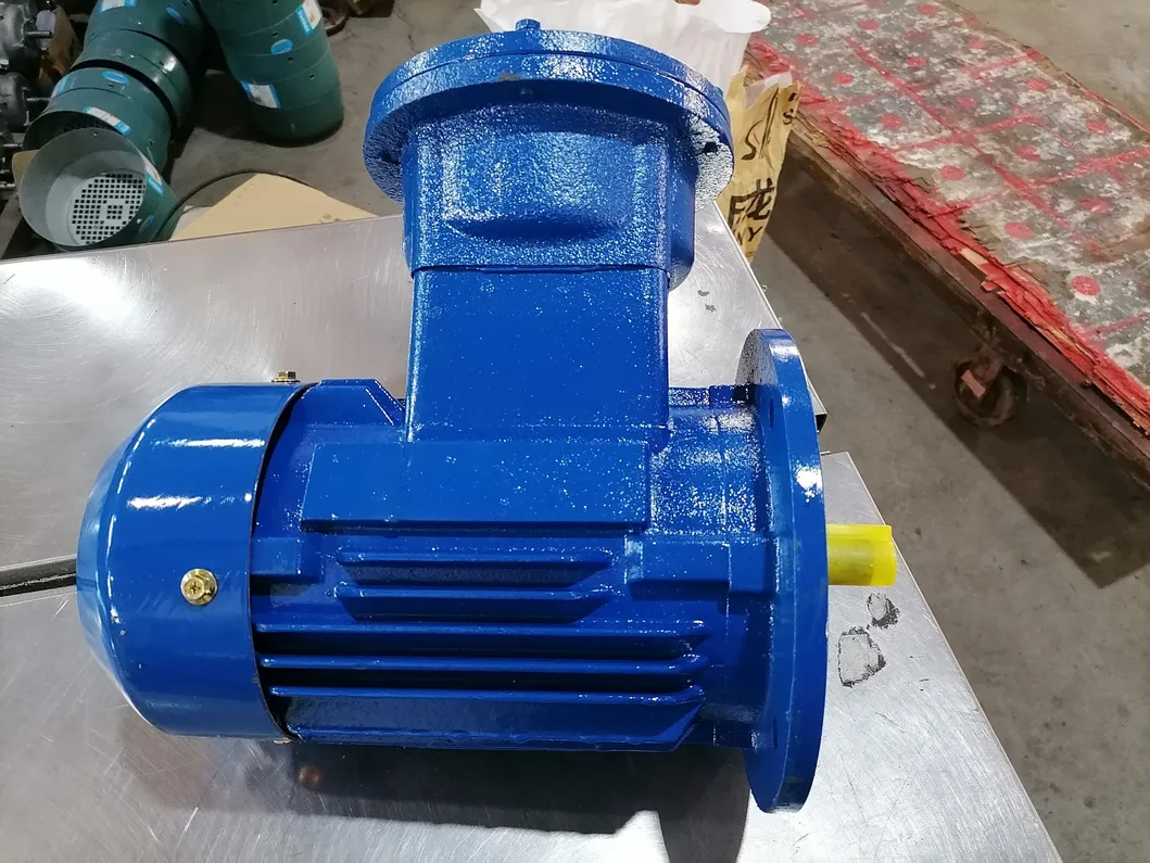 IEC Standard 8 Pole Asynchronous Low Voltage Ie3 Explosion Proof Motor Ybx3 Series 3 Phase Induction Motor
