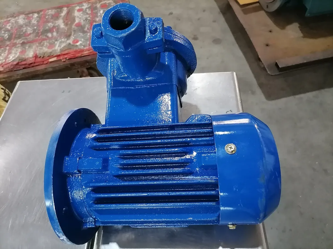 IEC Standard 8 Pole Asynchronous Low Voltage Ie3 Explosion Proof Motor Ybx3 Series 3 Phase Induction Motor