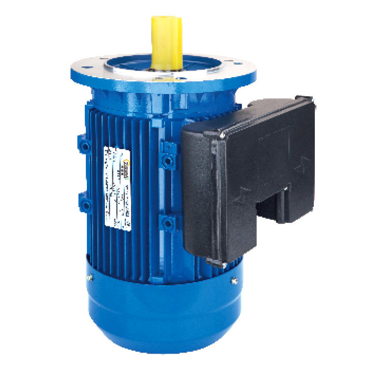 Double Capacitor Single Phase Motors