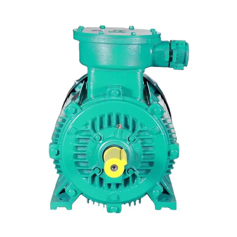  asynchronous electric motor