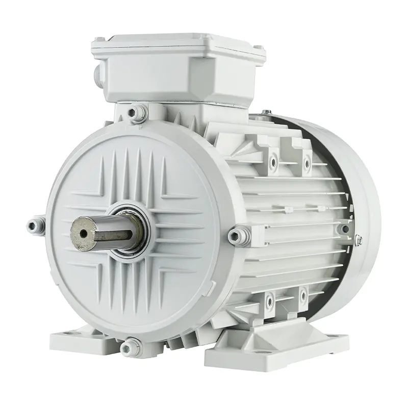 high torque induction motors