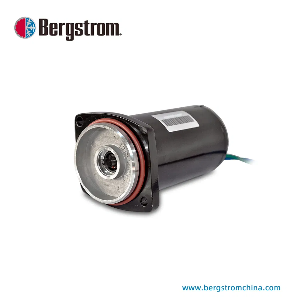 IP66 5800RPM up to 200W electric dc motor actuator motor 12V, 24V for oil pump BZY65 - 0501