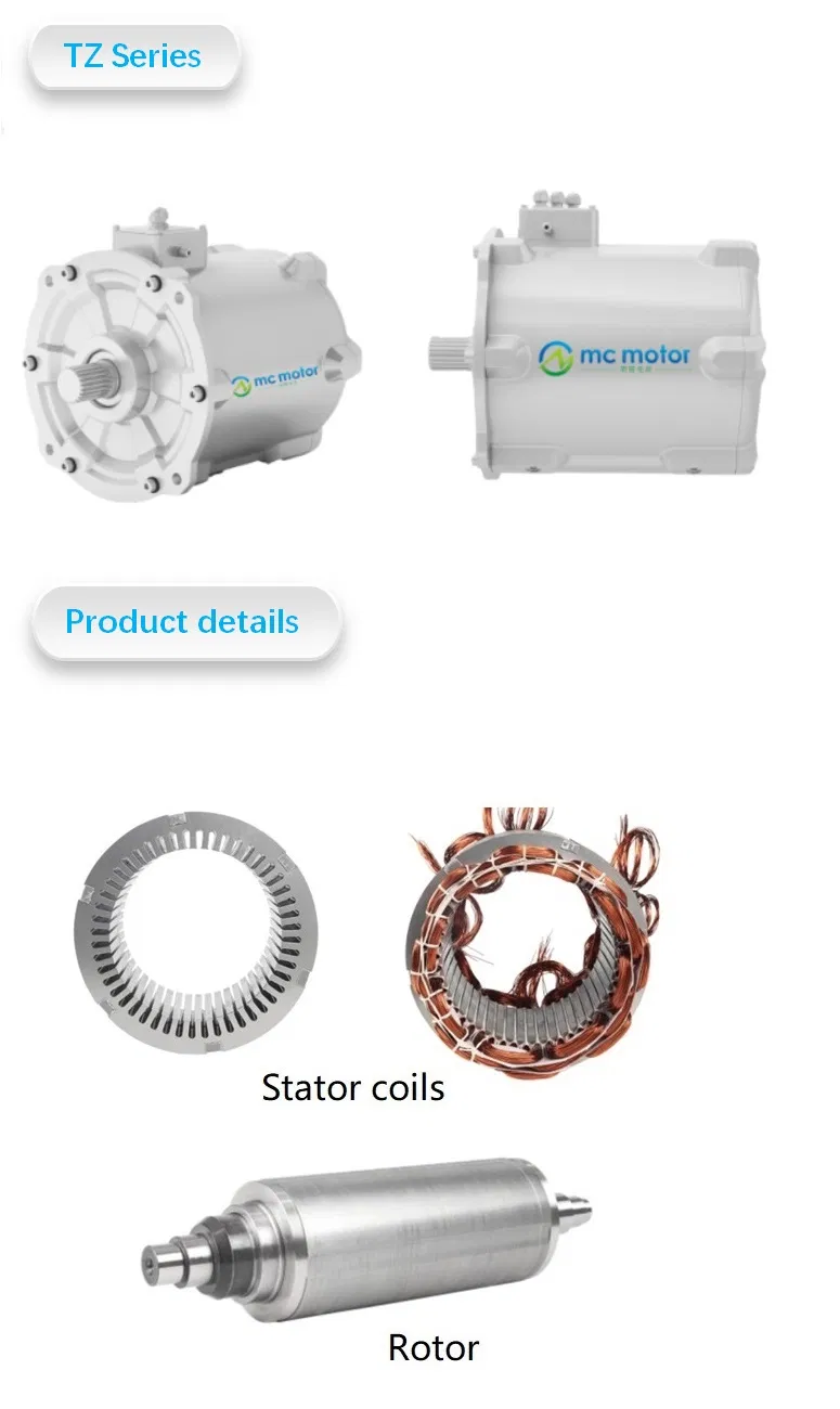 IP67 High Ingress Protection Level Permanent Magnet DC Motor