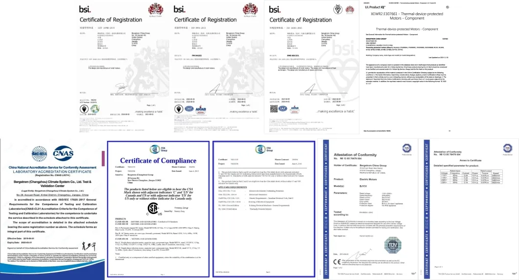 IP68 12V, 24V, 36V, 48V Outboard boat motor dc trim motor tilt motor electric motor oil pump motor BZY18 -0501
