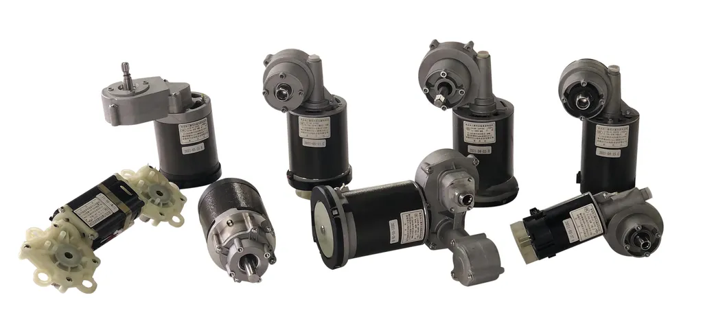 Lanshan E00 200W 48rpm with Application for Oil Press Pasta Maker Slow Juicer DC Gear Motor