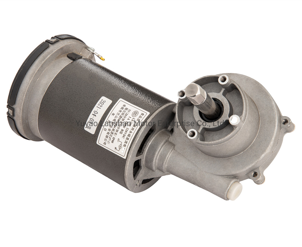 Lanshan E00 200W 48rpm with Application for Oil Press Pasta Maker Slow Juicer DC Gear Motor