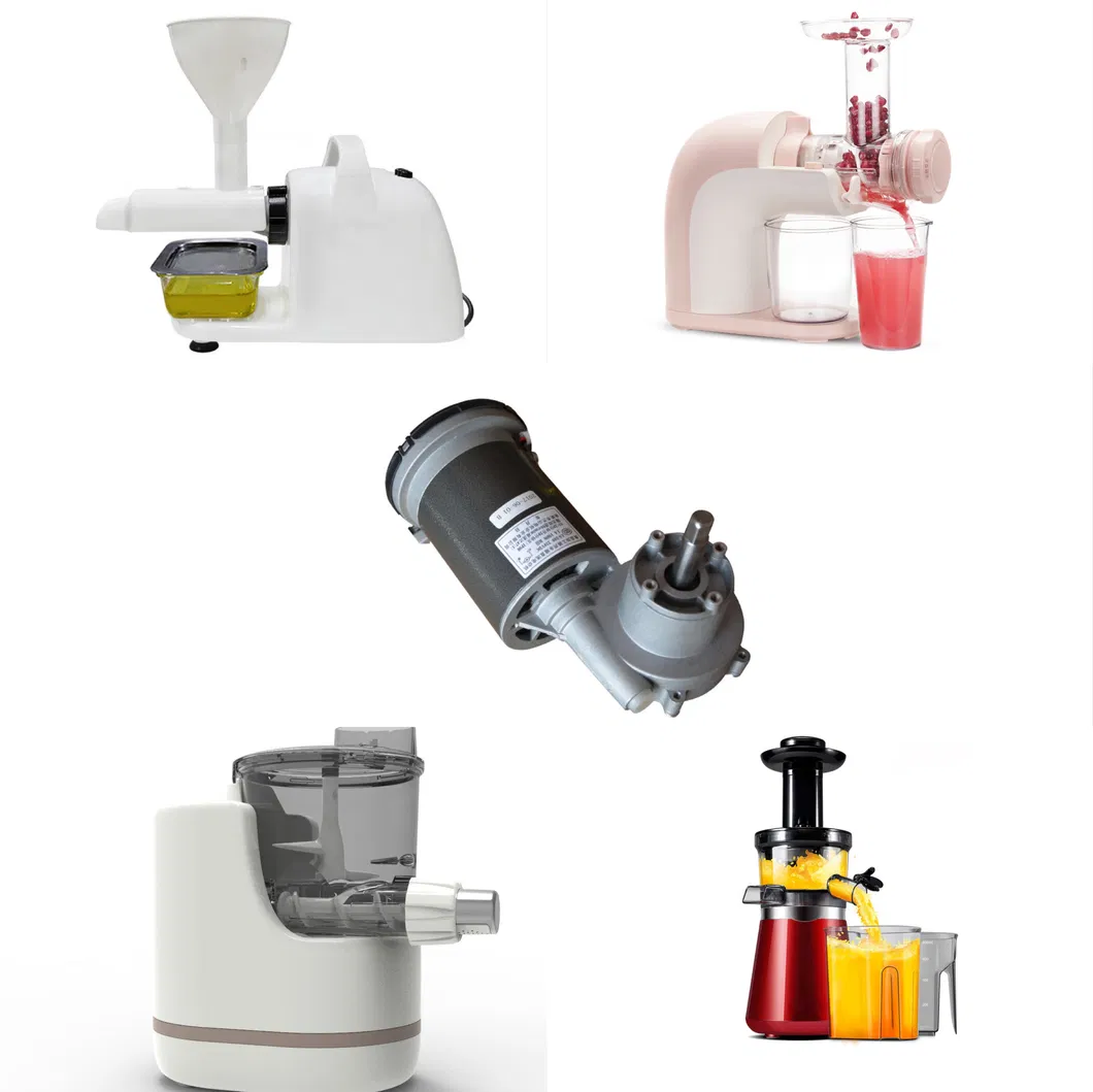 Lanshan E00 48rpm Slow Juicer/Oil Presser/Pasta Maker DC Gear Motor