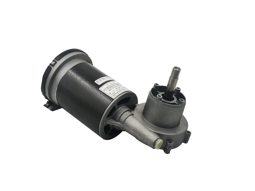 Lanshan E00 48rpm Slow Juicer/Oil Presser/Pasta Maker DC Gear Motor