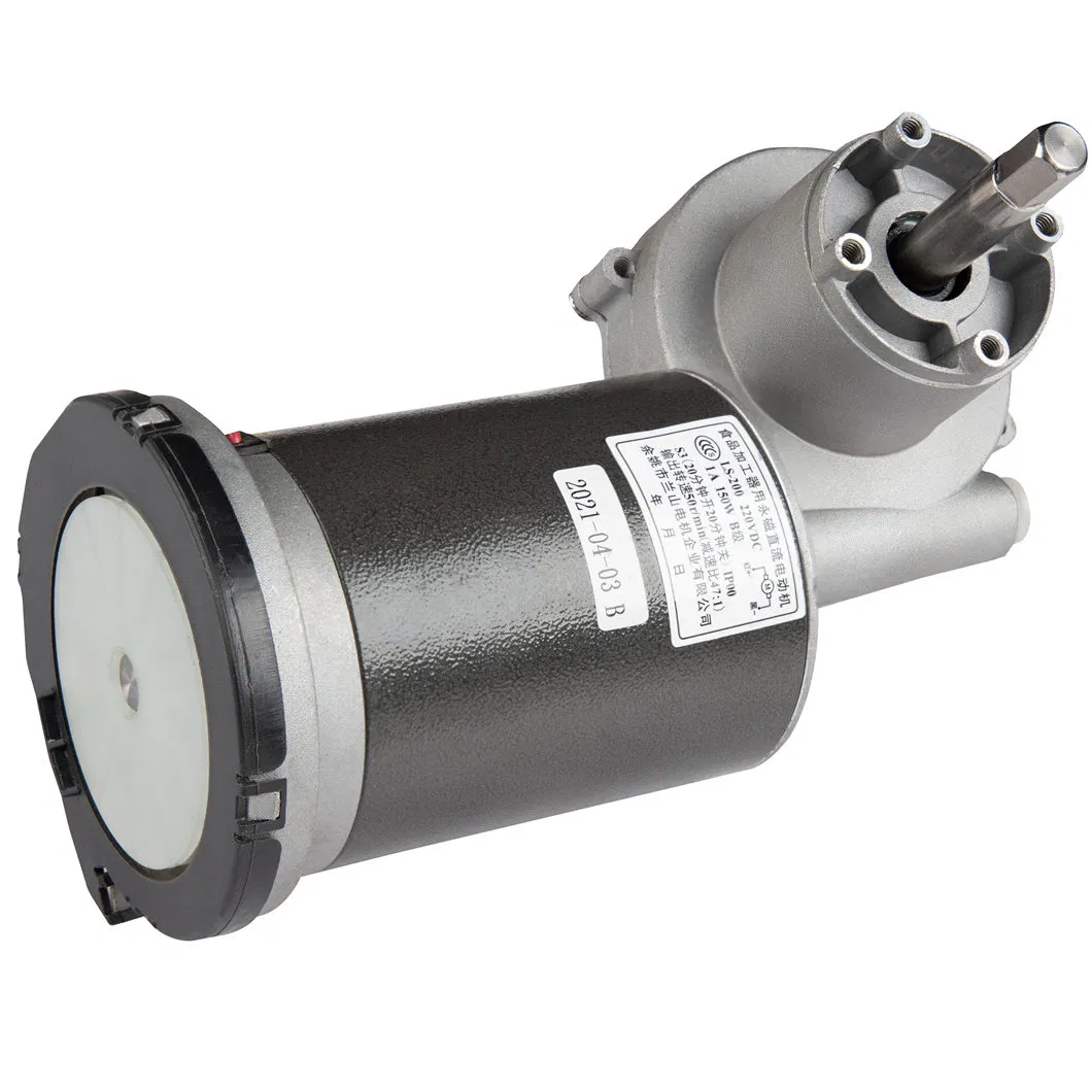 Lanshan E00 Home Appliances Brushed Motor High Torque Low Speed 48rpm Brush DC Gear Motor