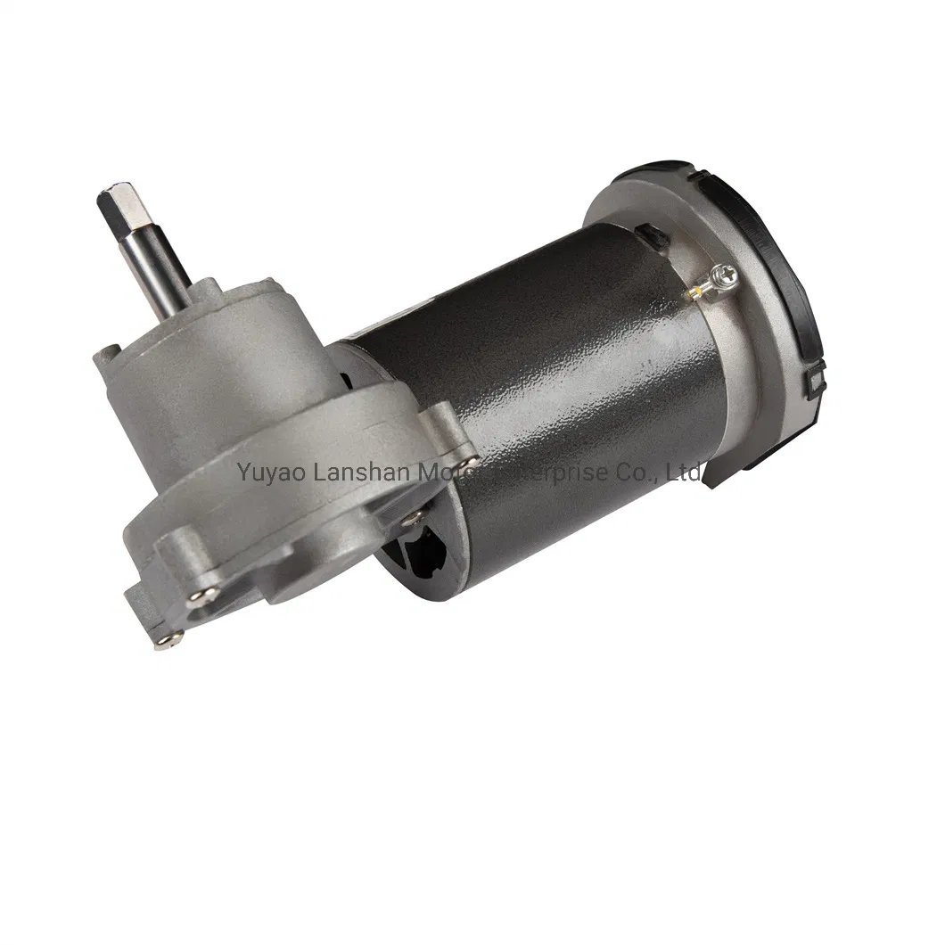 Lanshan E00 Home Appliances Brushed Motor High Torque Low Speed 48rpm Brush DC Gear Motor
