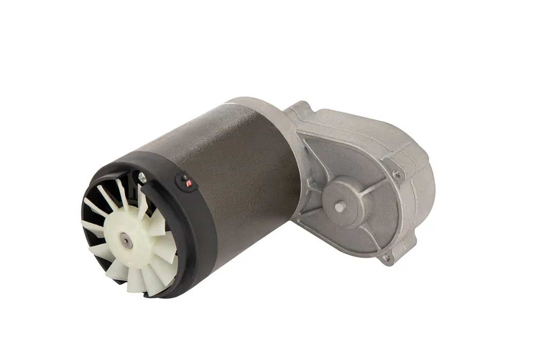 Lanshan Motor 150W 13nm Permanent Magnet DC Gear Motor Used for Slow Juicer