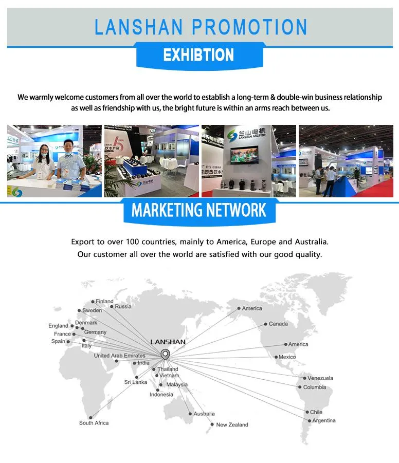 Lanshan Motor 150W 13nm Permanent Magnet DC Gear Motor Used for Slow Juicer