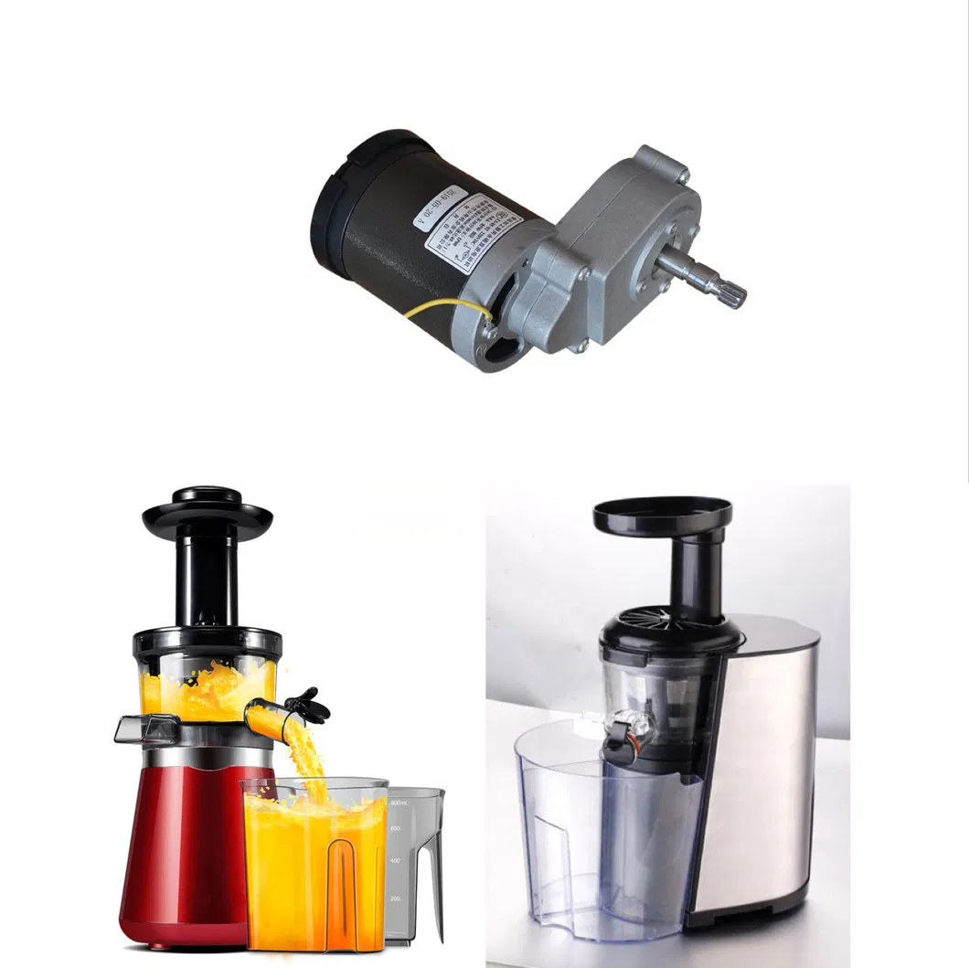 Lanshan Motor 150W 13nm Permanent Magnet DC Gear Motor Used for Slow Juicer