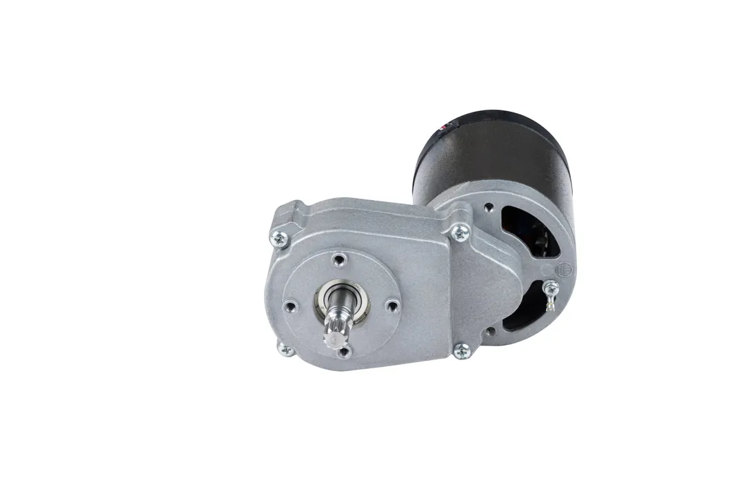 Lanshan Motor 150W 13nm Permanent Magnet DC Gear Motor Used for Slow Juicer