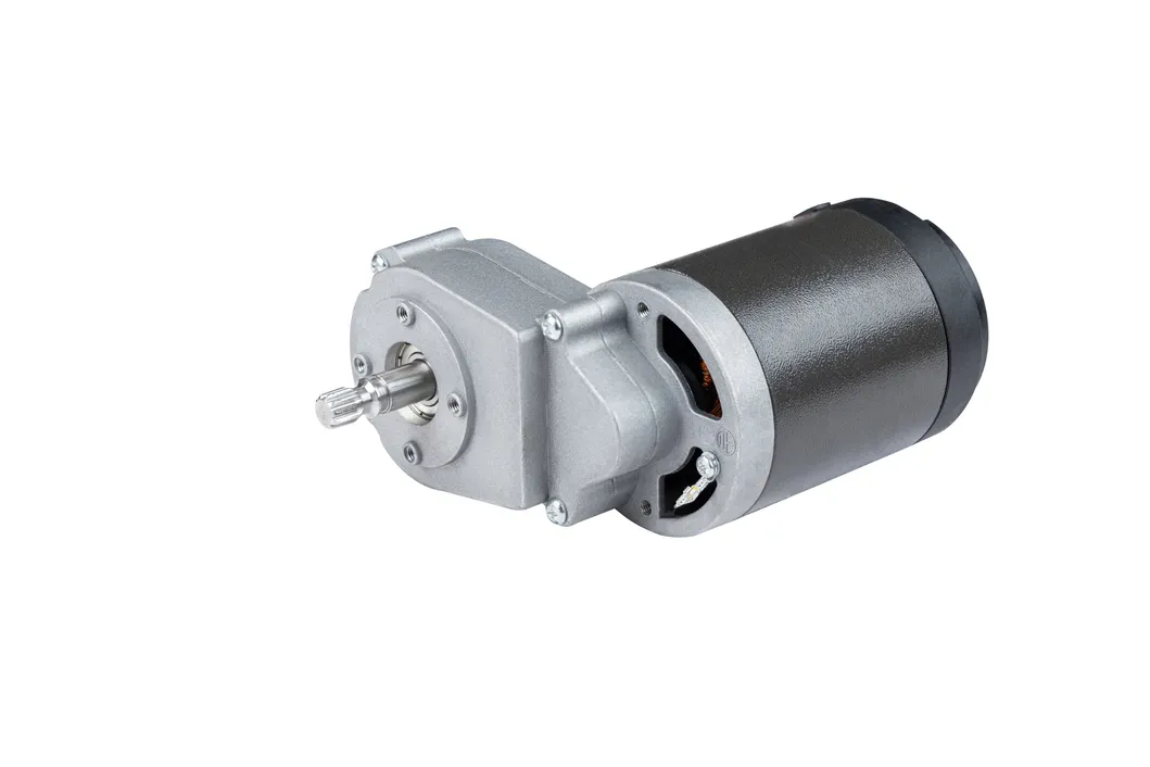 Lanshan Motor 150W 13nm Permanent Magnet DC Gear Motor Used for Slow Juicer