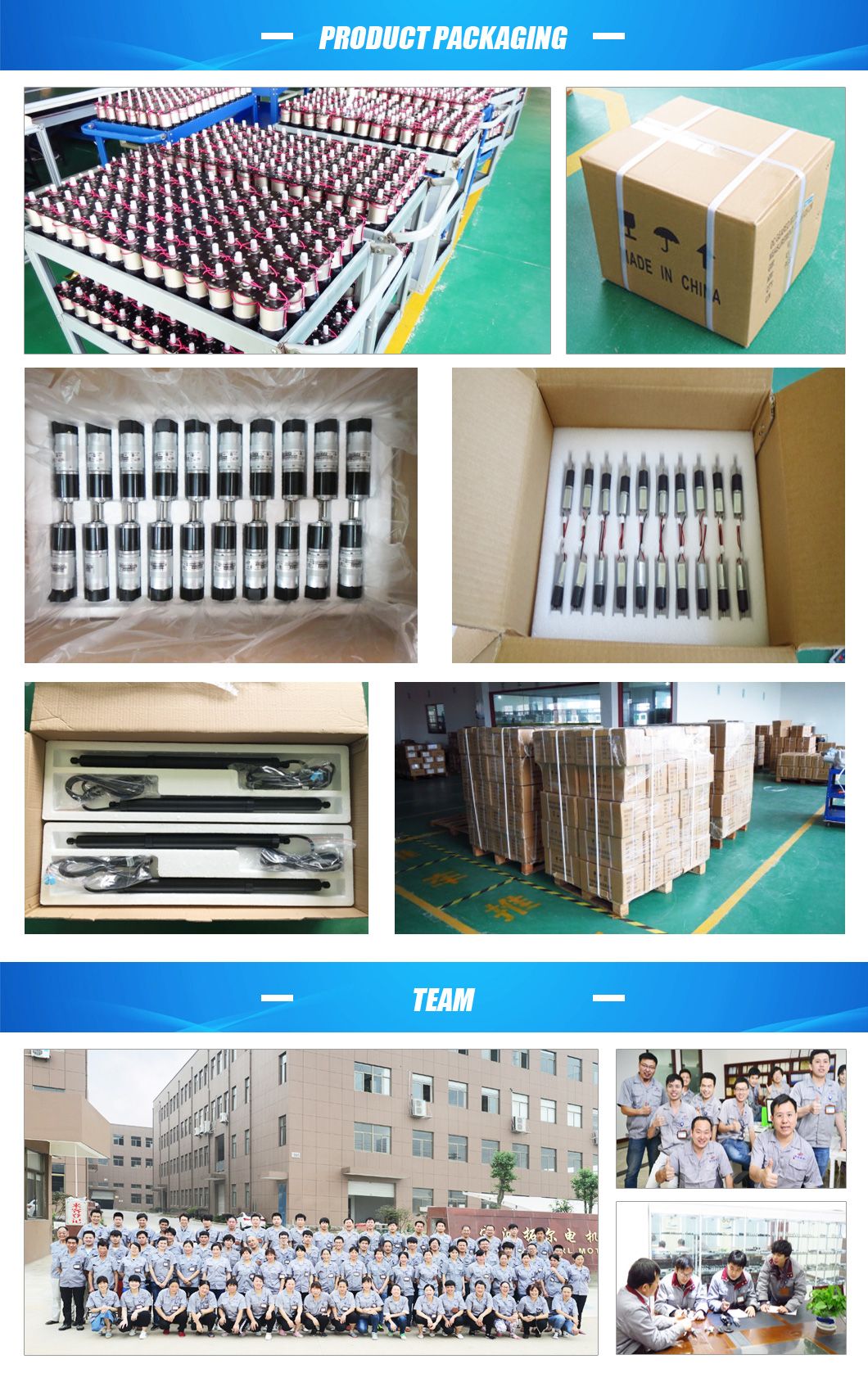 Long Life Low Noise Large Torque Small Electric Motors with Gearbox