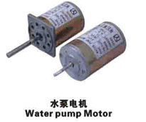Manufacturer Supplier DC 12V 24V 36V 42V Water Pump Motor