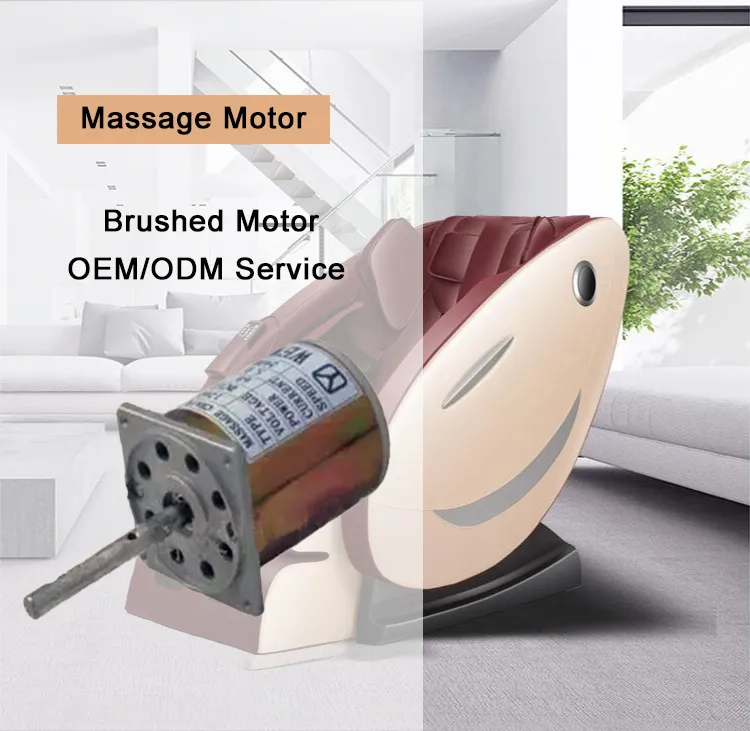 Manufacturer Supplier DC 12V 24V 36V 42V Water Pump Motor