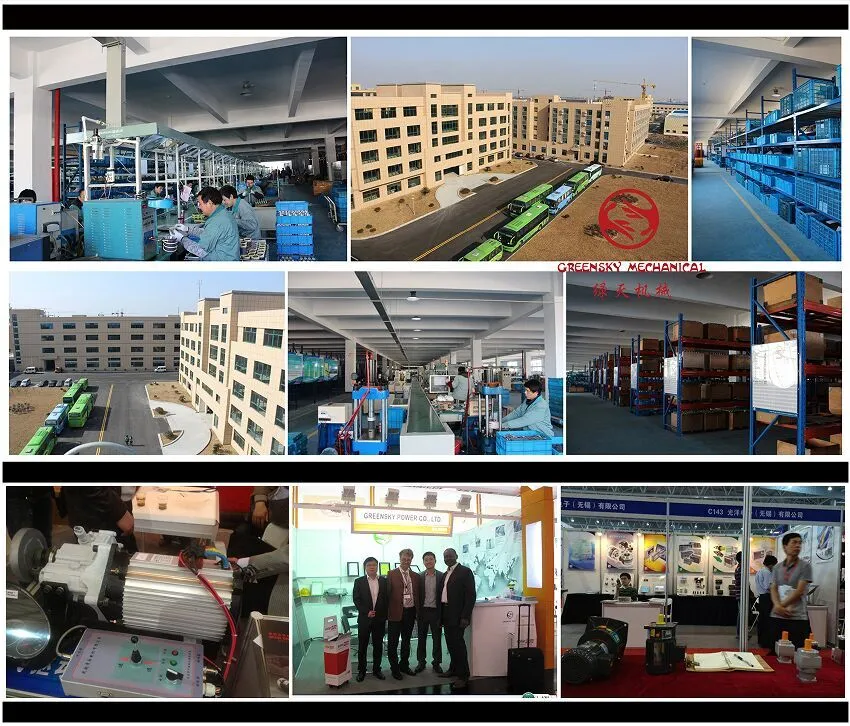 Mini 12V 24V BLDC DC Brushless Reduction Geared Gear Motor for Lawn Mower Oven Robot