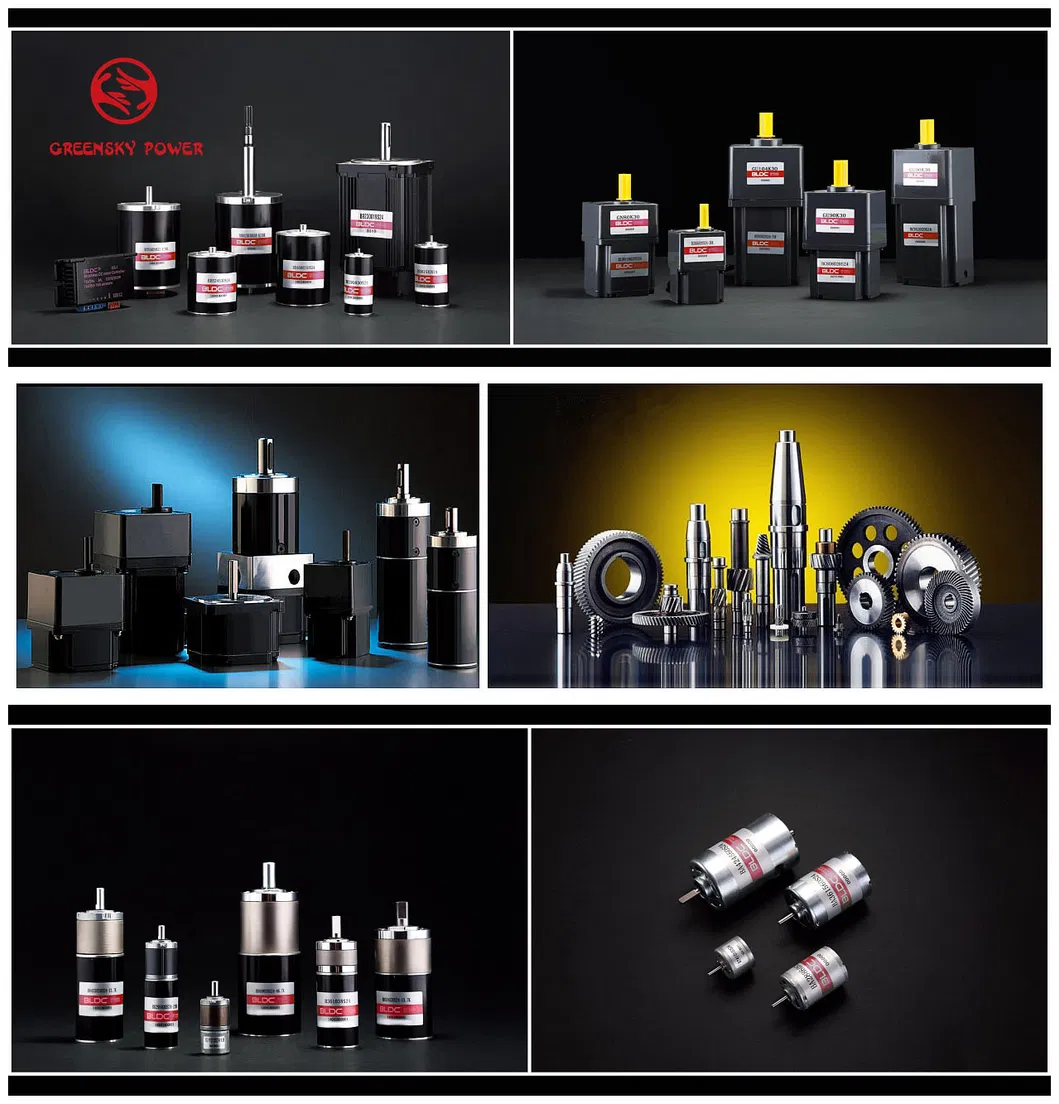 Mini 12V 24V BLDC DC Brushless Reduction Geared Gear Motor for Lawn Mower Oven Robot