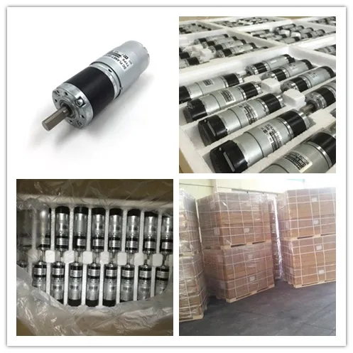 Mini DC 12V 24V 36mm 100rpm 500 Rpm Planetary Gear Motor for Automatic Door