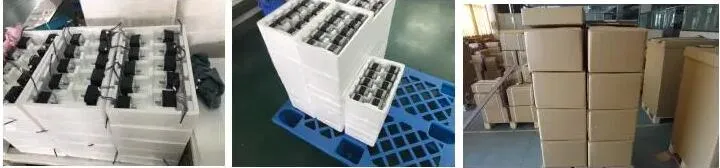 Miniature Nmea 8 20mm Hybrid Linear Stepper Motor with Ball Screw