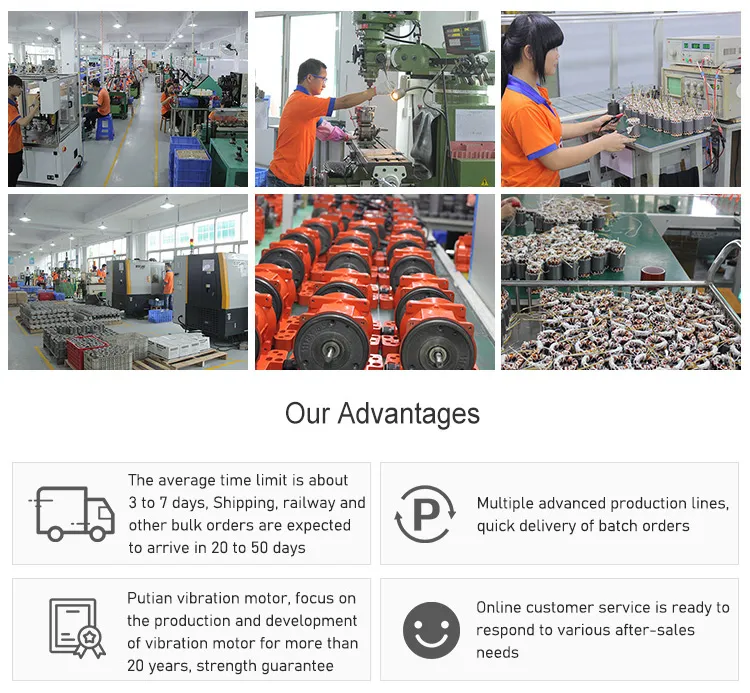 Mve800/3-50 Series Vibrator Motor for Vibrating Feeder Machine